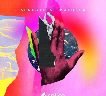Splice Sessions Senegalese Makossa WAV